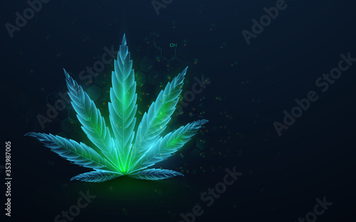 Green cannabis leaves with formula CBD. Growing medical marijuana