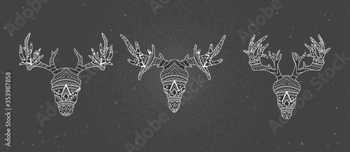 Vector set of skulls deer and moose with decorative pattern. White image on black textured background. Ornate silhouette.