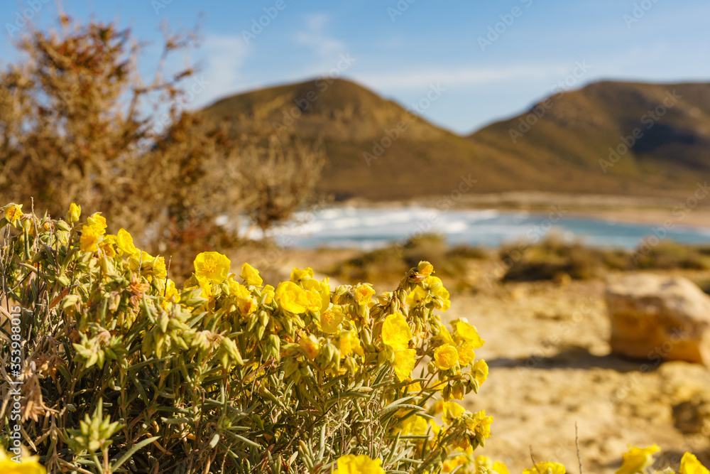 Obraz premium Beach El Playazo, seascape in Spain.