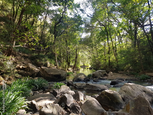 Relaxing view of the river with rocks, trees and vegetation