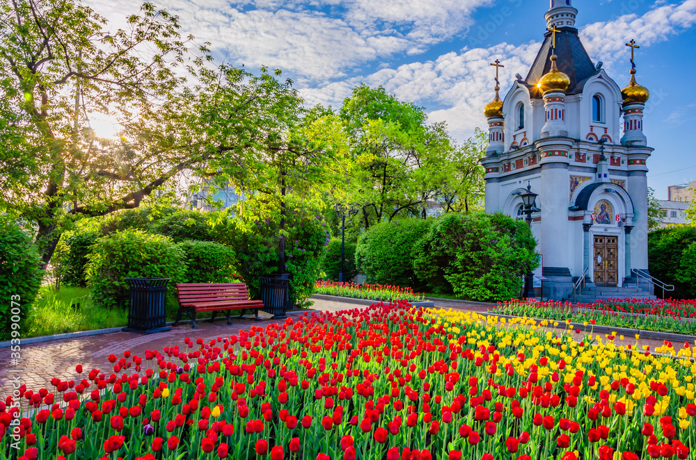 A lot of tulips in the center of Yekaterinburg on the lawn on a summer morning.