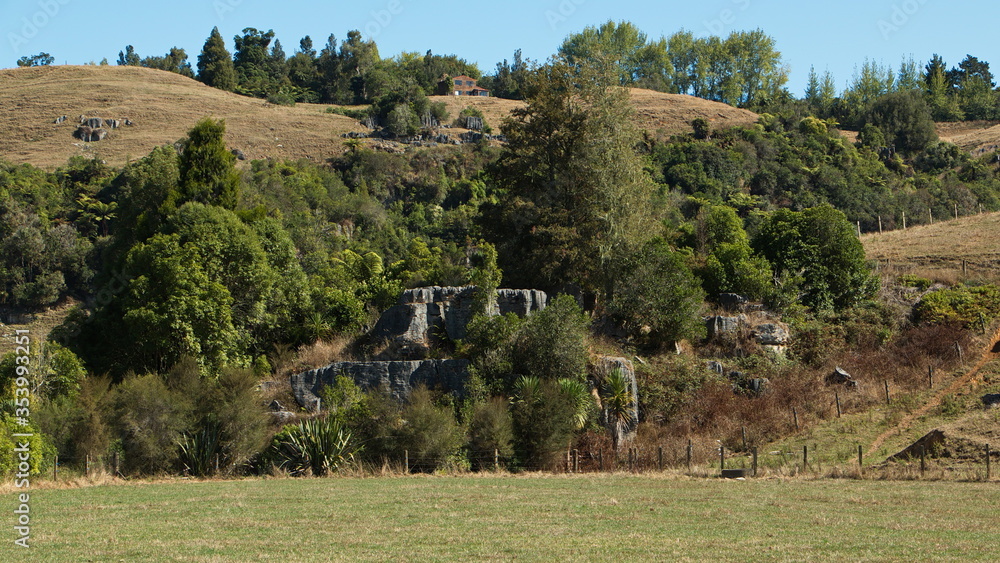 Fototapeta premium Landscape at Waitomo walkway near Waitomo in Waikato region on North Island of New Zealand 
