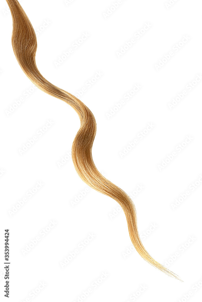 Fototapeta premium Brown hair on white background, isolated. Thin thread