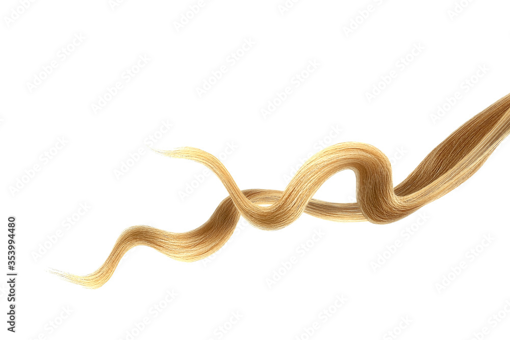 Brown hair on white background, isolated. Thin curly threads Brown hair on white background, isolated. Thin curly threads