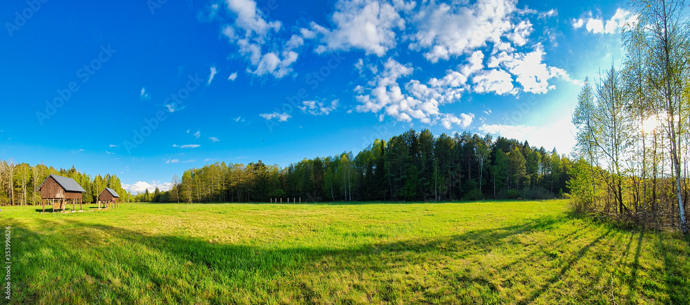 Obraz premium Łąka pod lasem