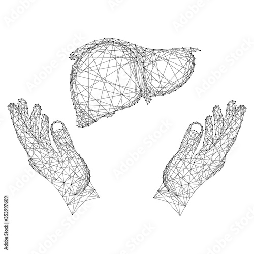 Liver human organ and two holding, protecting hands from abstract futuristic polygonal black lines and dots.