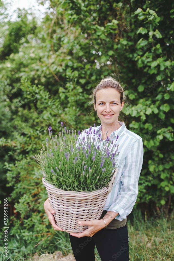 pretty young woman is posing with big and fresh lavender in the garden pretty young woman is posing with big and fresh lavender in the garden