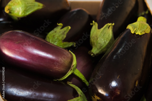 Purple eggplant sold in the market