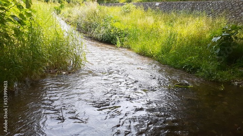Bild auf Leinwand 散歩道　小川