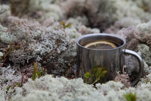 Tea with a slice of lemon in a steel tourist mug stands on a carpet of moss.