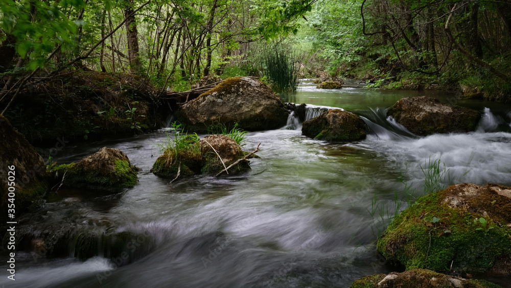Full-flowing river in a green sunny forest.