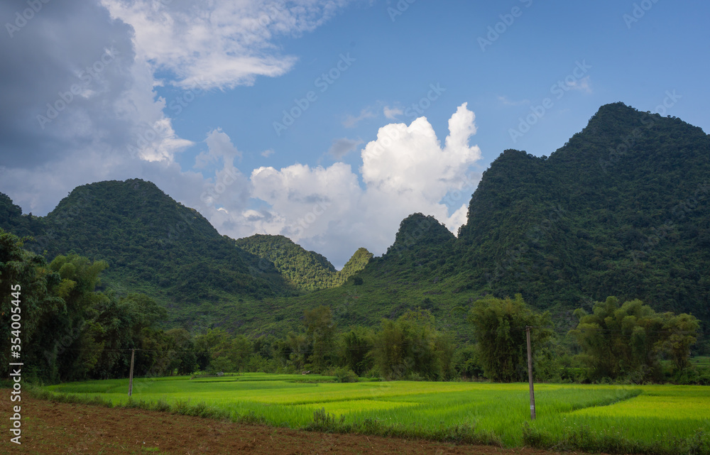 Beautiful rice fields began to be cultivated with mountains and blue sky in the rural while traveling Hanoi to Sa Pa, Lao Cai, Northern Vietnam