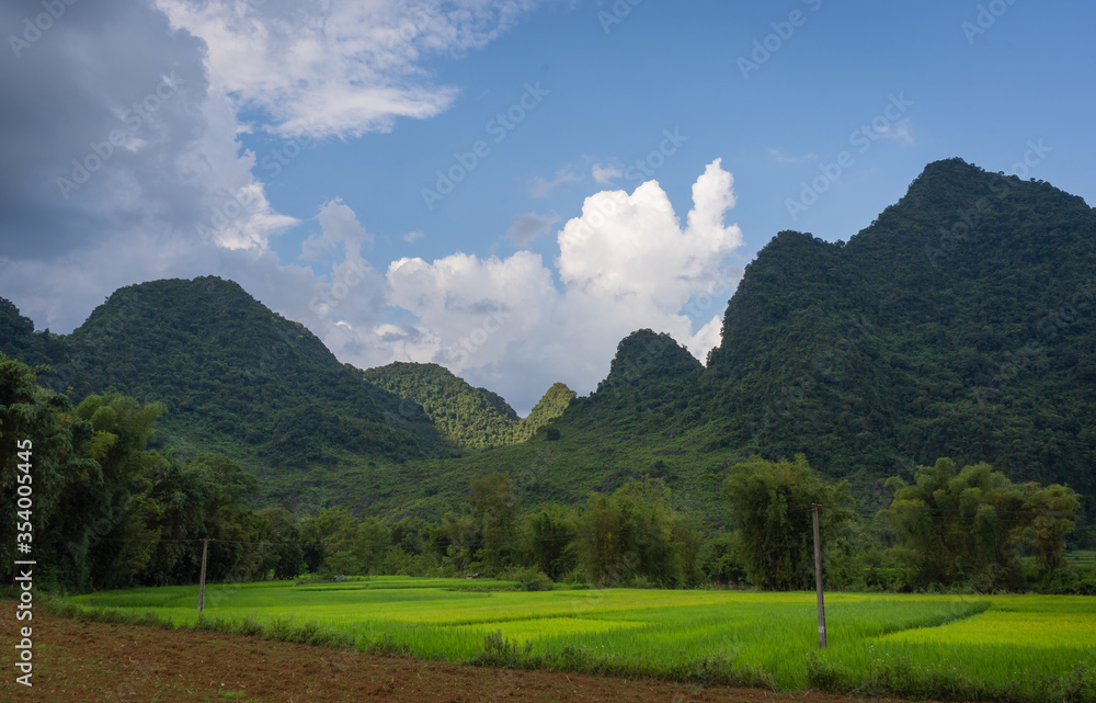 Naklejka premium Beautiful rice fields began to be cultivated with mountains and blue sky in the rural while traveling Hanoi to Sa Pa, Lao Cai, Northern Vietnam