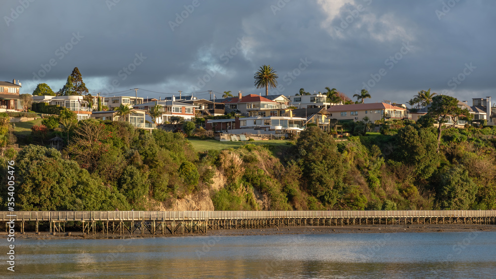 View of Half Moon Bay marina walkway at Bucklands Beach with houses on hill