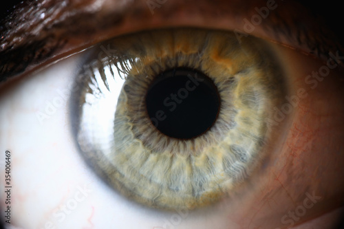 Foto Closeup, healthy green human pupil, eye diagnosis