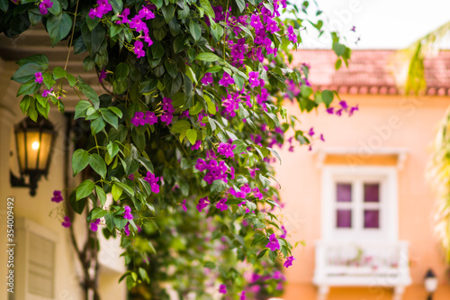 street with flowers old town cartagena colombia 