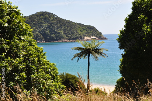 Abel Tasman Park mit Palme | Neuseeland