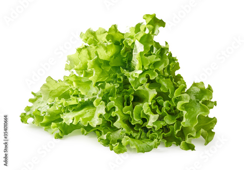 Salad leaves isolated on white background.