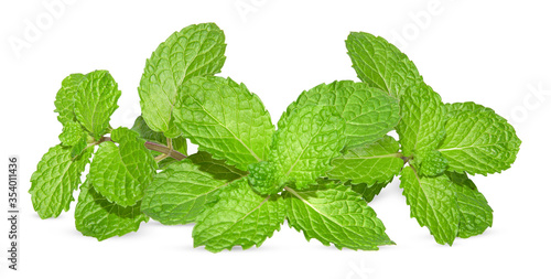 Mint leaves isolated on white. Fresh mint Clipping Path