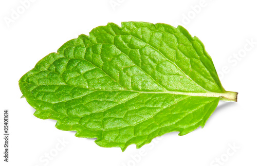 Mint leaves isolated on white. Mint Clipping Path. Professional food photography