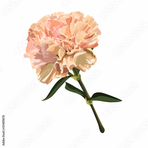 Beautiful beige carnation with the effect of a watercolor drawing isolated on white background. Hand-drawn flower with leaves.