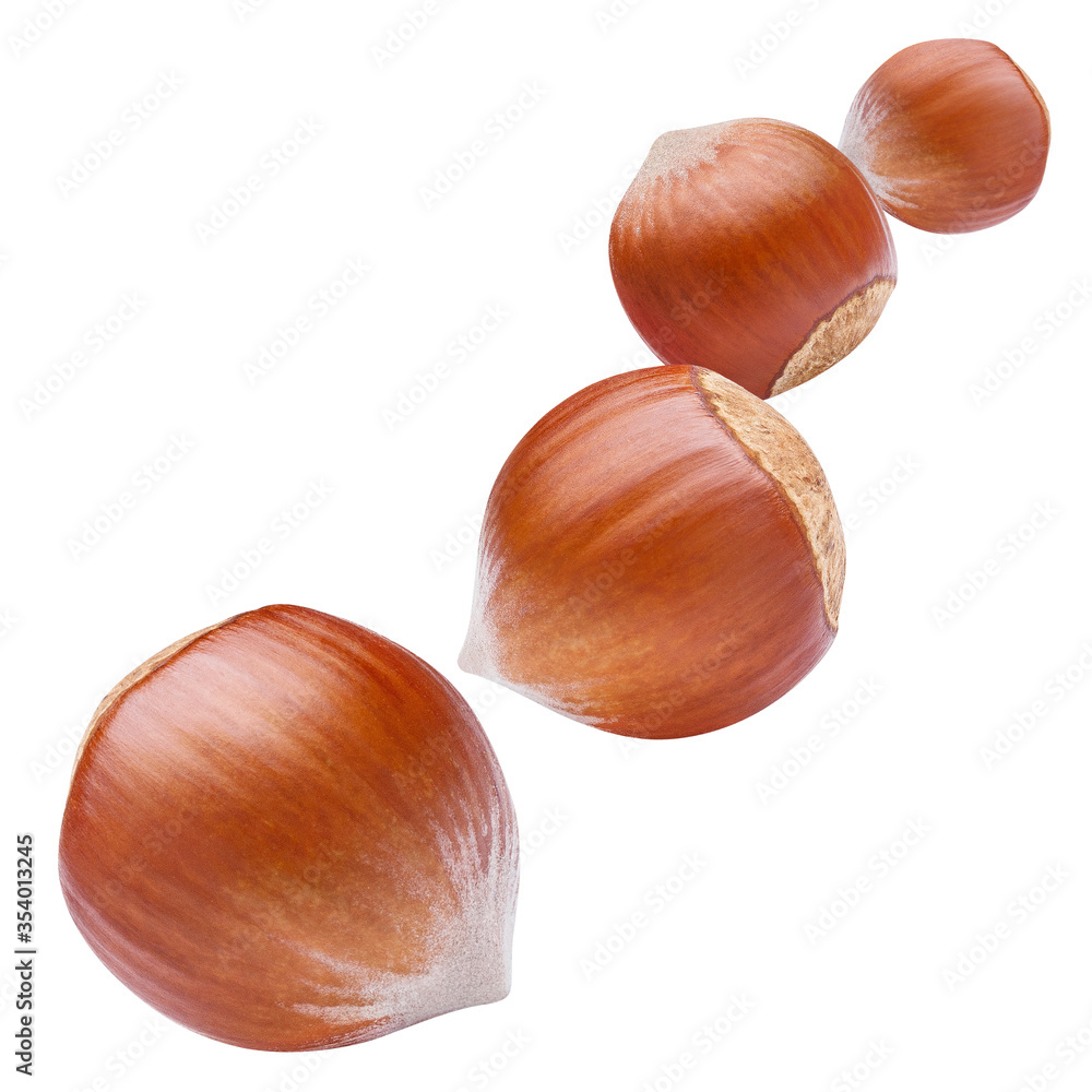 Flying hazelnuts, isolated on white background Flying hazelnuts, isolated on white background