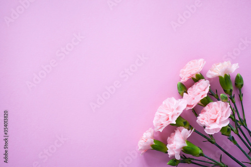 Pink carnation flowers on a pink paper background  space for text  greetings