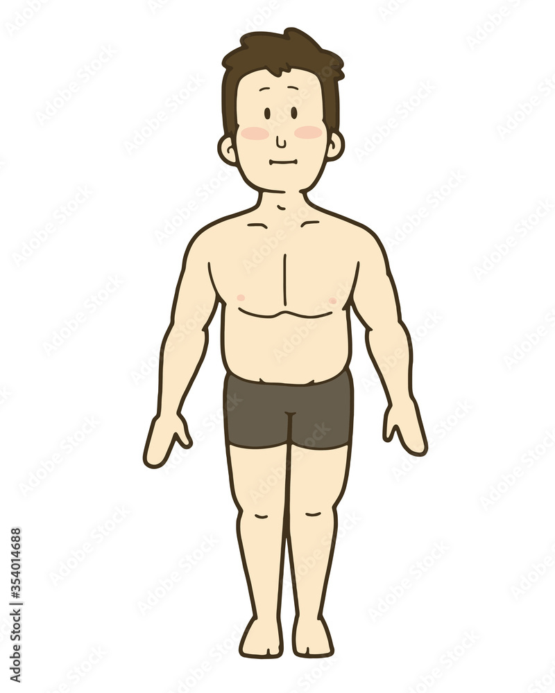 男性の人体のイラスト 正面 太り気味 男性の人体のイラスト 正面 太り気味