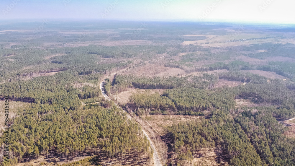 View from the drone on the highway winding through the Polissya forest, in the background the horizon. Sunny spring day. Ukraine, Europe
