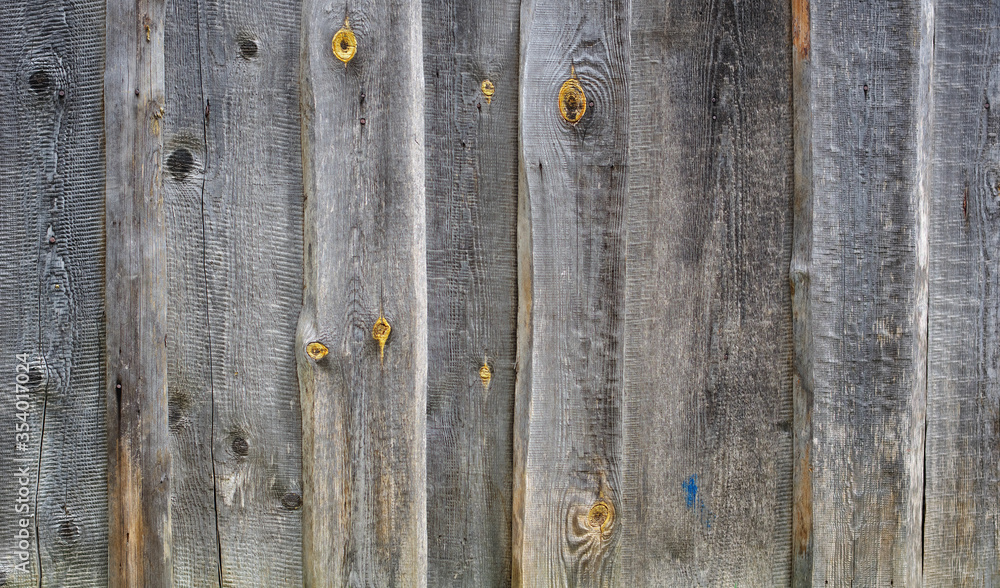 Surface of the old fence