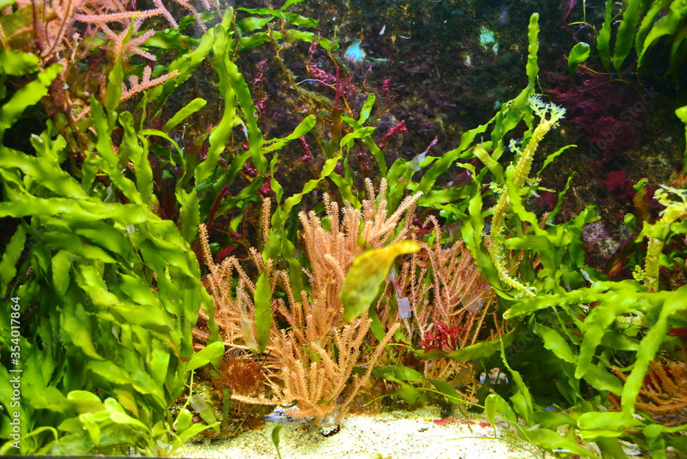 Obraz premium Stuttgart Wilhelma, #2255