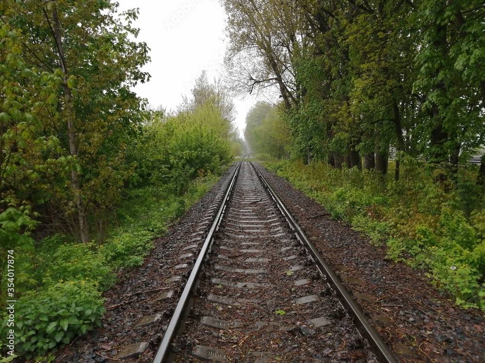 sleepers rails railroad linear perspectives bottom view stones rubble trees sleepers rails railroad linear perspectives bottom view stones rubble trees