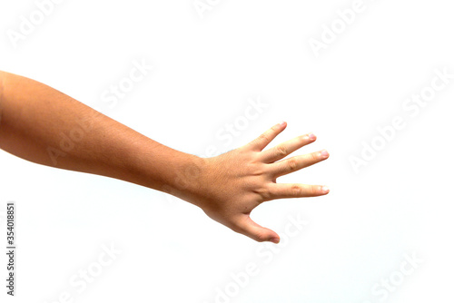 back of male hand on white background