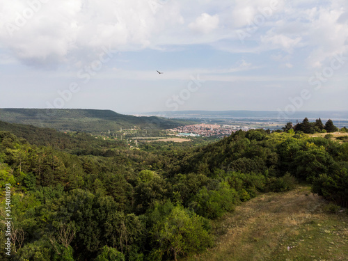 Aerial View of a Forest near City and Sea