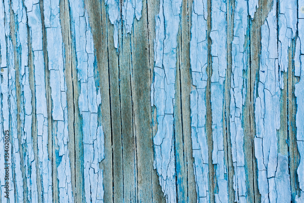 Obraz premium Blue wood texture