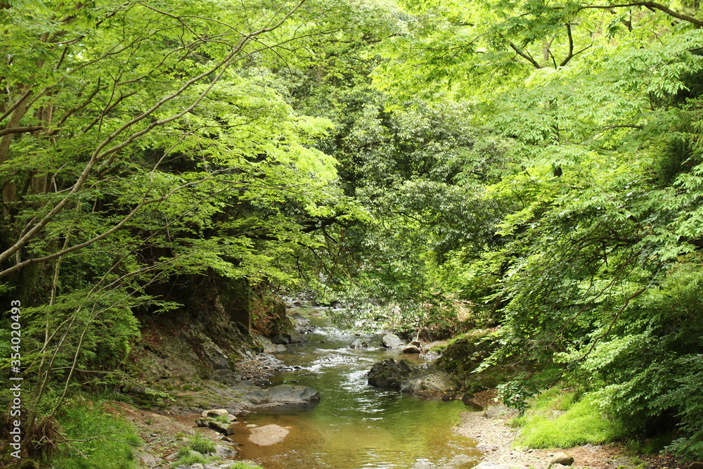 小鮎川 小鮎川