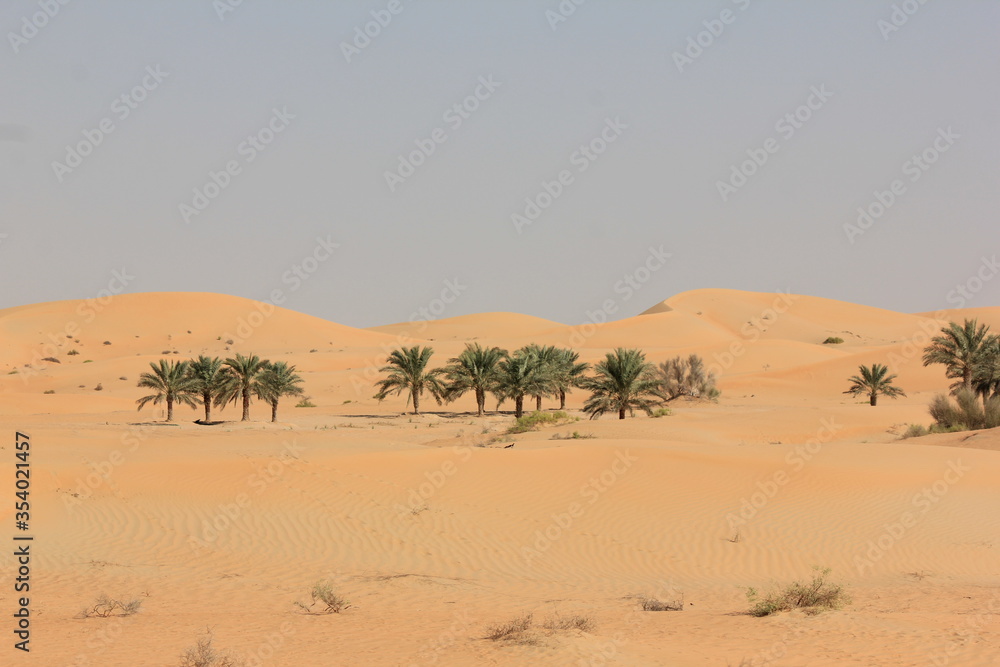Desert Desert