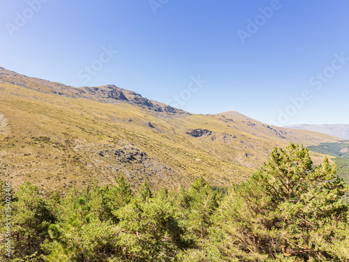 mountain landscape with trees in Sierra Nevada (Spain) 