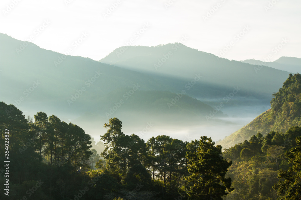 Beautiful Landscape of mountain layer in morning sun ray and winter fog  in Chiangmai, Thailand 