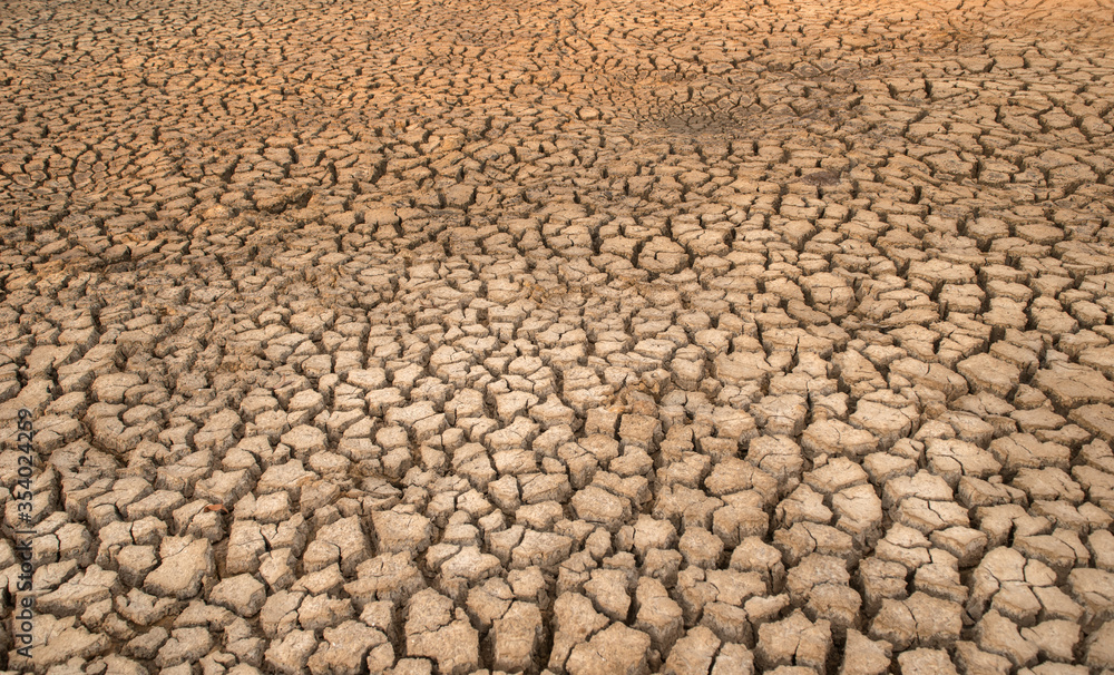Dried and Cracked ground,Cracked surface,Dry soil in arid areas. Dried and Cracked ground,Cracked surface,Dry soil in arid areas.