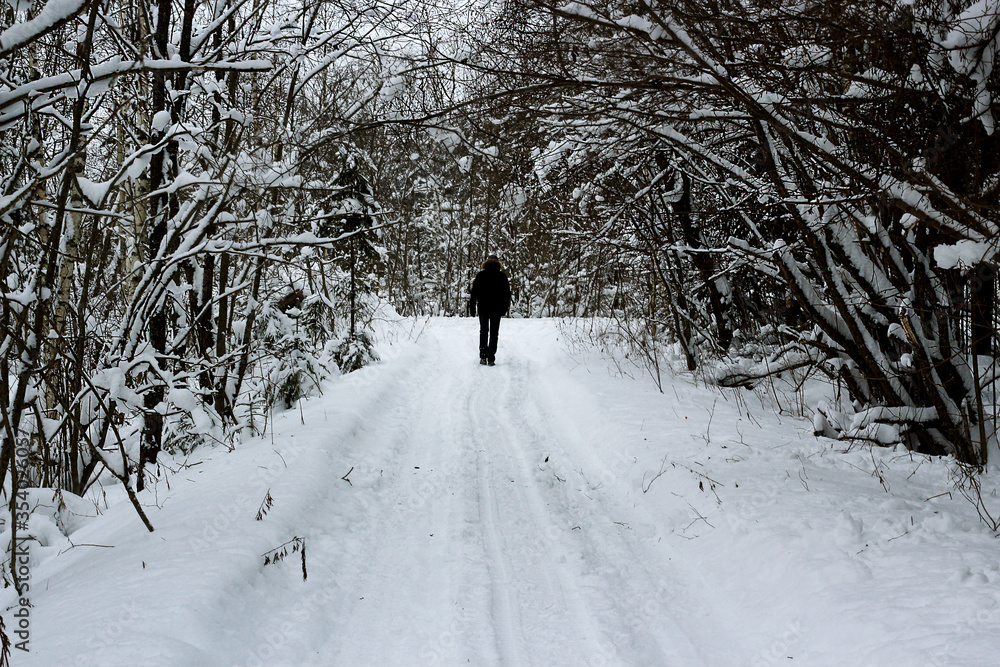 A guy in a winter forest is walking along a rural road. The trees are all covered in snow, the guy is standing in a down jacket and a hat. A guy in a winter forest is walking along a rural road. The trees are all covered in snow, the guy is standing in a down jacket and a hat.