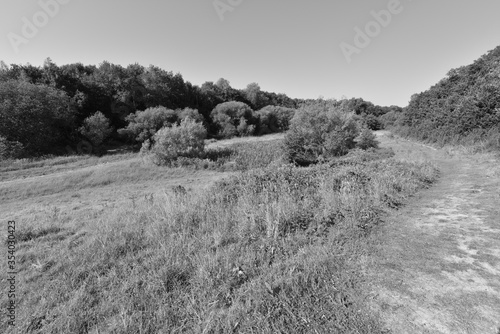 Wallpaper Mural The English countryside in Springtime. Torontodigital.ca