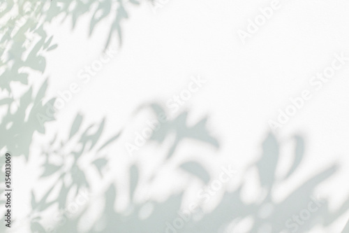 Shadow and light from sunlight of natural leaves tree branch on white wall. Nature blurred background