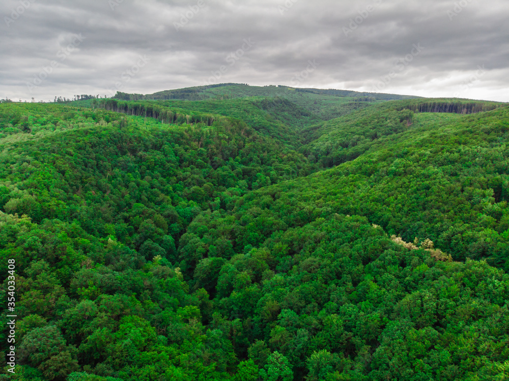 Photo of a dense forest from a height on a cloudy day