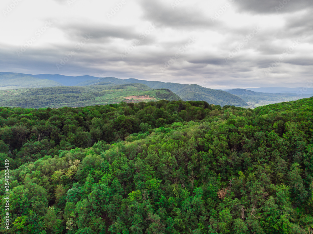 Treetops on a background of mountains in cloudy weather
