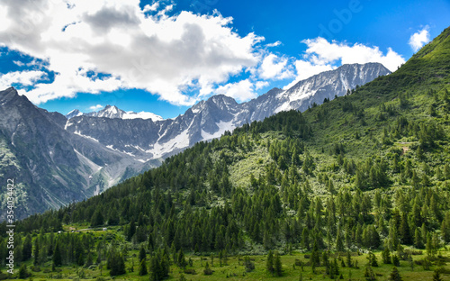 Mountain landscape in the summer.