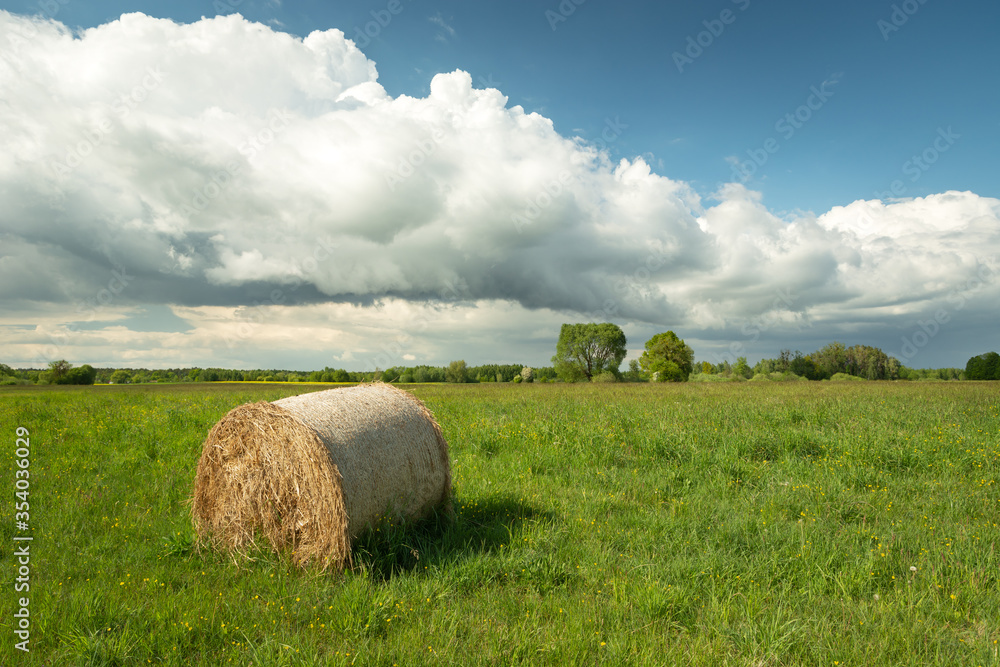 Single hay bale lying on a green meadow, white big cloud on the blue sky