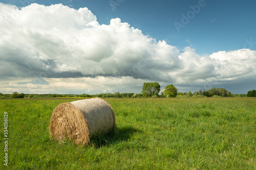 Single hay bale lying on a green meadow, white big cloud on the blue sky