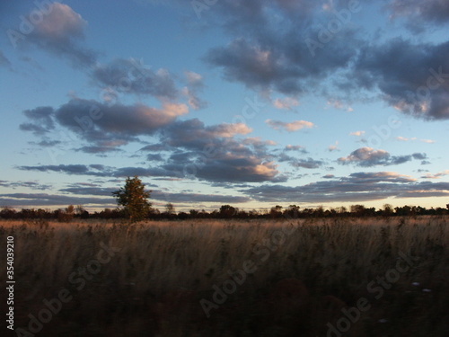 sunset over the bush photo