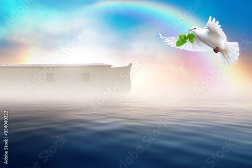 Photography White dove flying with olive branch in its beak